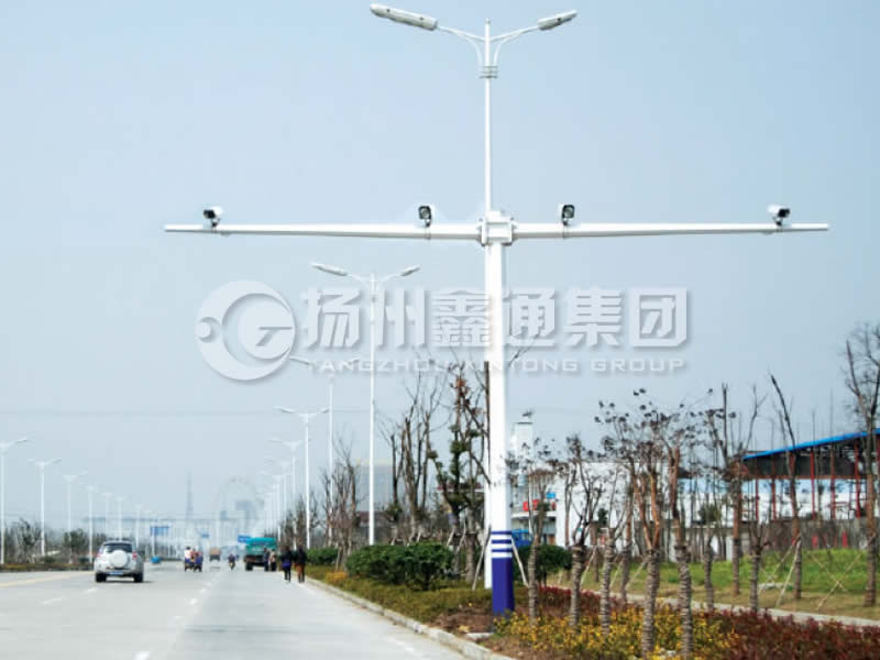 DJG-004，電子警察桿，T型八棱電警桿