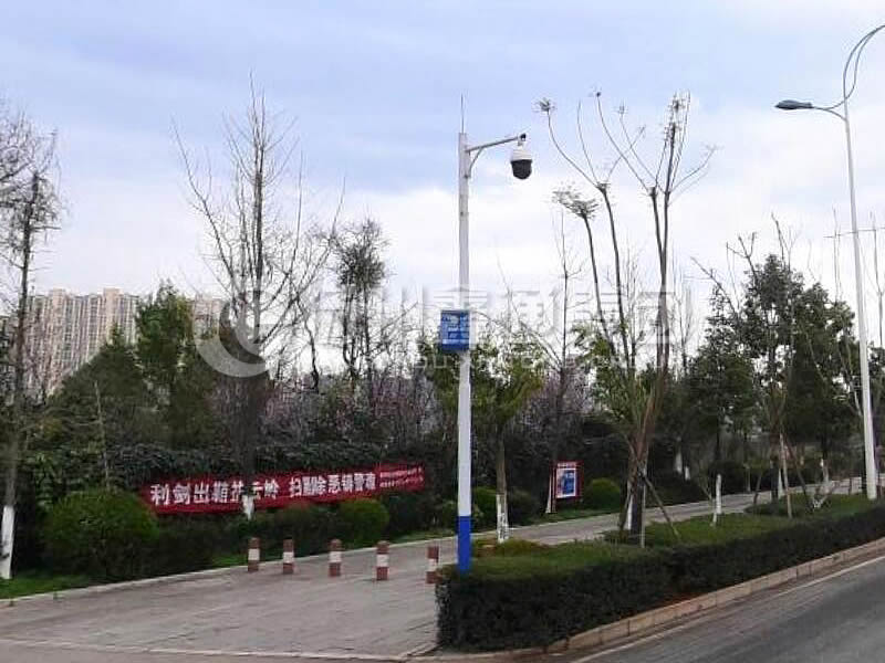 DJG-025，電子警察桿，治安監控桿
